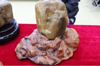 石韻煤魂，魅力海倫——首屆奇石文化旅游節(jié)盛大開幕，焦炭產(chǎn)業(yè)與文化盛宴交相輝映