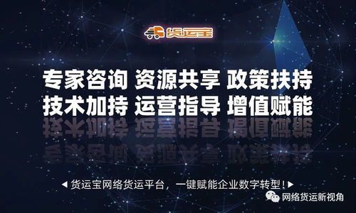 網(wǎng)絡(luò)貨運(yùn)時(shí)代 軟件技術(shù)與信息咨詢服務(wù)的雙輪驅(qū)動(dòng)