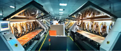 江西龍南對(duì)接粵港澳大灣區(qū)投資環(huán)境推介會(huì)成功舉辦，信息咨詢服務(wù)賦能合作新篇章